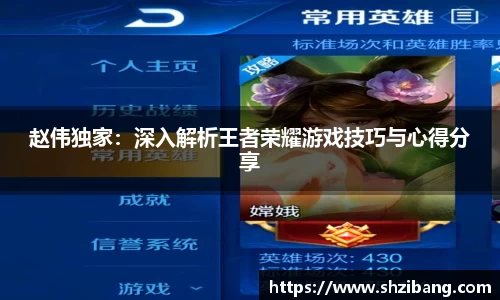 赵伟独家：深入解析王者荣耀游戏技巧与心得分享