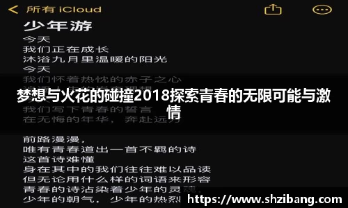 梦想与火花的碰撞2018探索青春的无限可能与激情